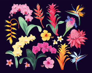 Big vector set of high detailed tropical flowers - 546981957