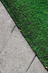 Obraz premium artificial turf and concrete tiles in a walkway in a green lawn.