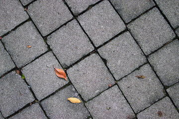 Pavement tiles texture background