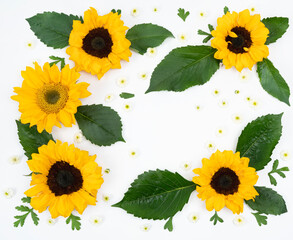 Fresh sunflower floral flat lay with copy space on white background