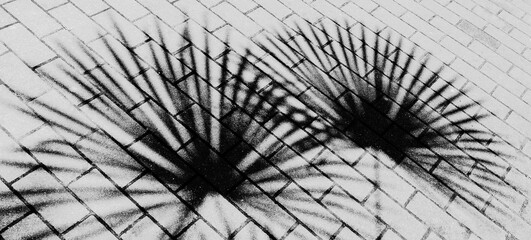 The shadow of the branches of a palm tree on a gray concrete brick road. Banner. Selective focus.