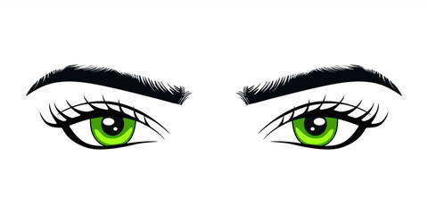 Green female eyes with eyebrows and lush eyelashes. Business card idea, vector typography. Perfect green woman's eyes on white background. vector illustration