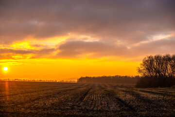 Fototapeta premium Golden sun over the field , sunset at the autumn . Golden and red clouds , field and sunset , forest in field . Clouds and sun 