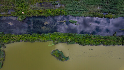 reflection of trees in water