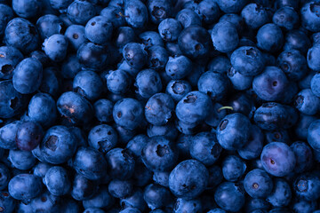 Fresh blueberry background. Texture blueberry berries close up.