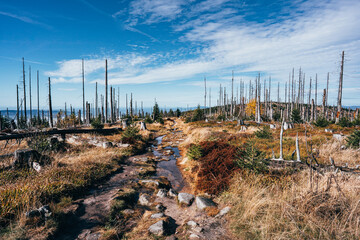 Road on the ridge of the mountains	
