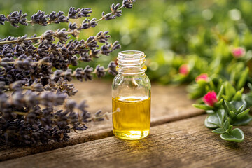 Essential oil in a small glass bottle with lavender sprigs on a wood table and blurred green background. Selective focus and copy space for text. Natural cosmetic products.