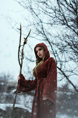 Bright color photo of a beautiful sorcerer girl with blond braids in a winter forest next to a...