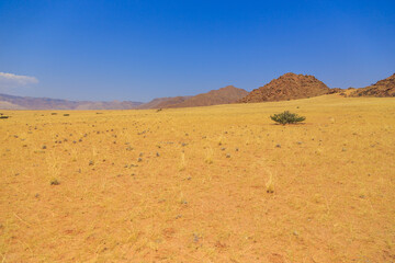 Fototapeta premium Namibian landscape along the gravel road. Sossusvlei, Namibia.