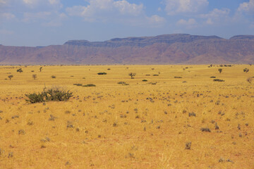 Fototapeta na wymiar Namibian landscape along the gravel road. Sossusvlei, Namibia.