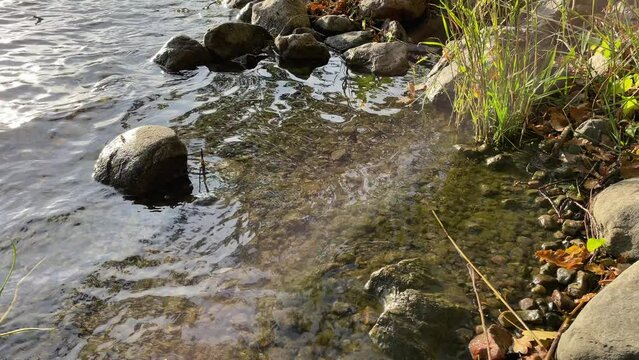 Nature, water and autumn. Swedish fall. Rocky shore. Lake M&auml;laren, next to the Baltic sea. Stockholm, Sweden.