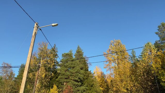 Electrical poles and air wires. Autumn forest in the background. V&auml;rmland, Sweden, Europe.