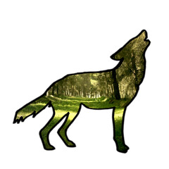 A brightly lit wild forest inside the shape of a wolf, isolated. Symbolic illustration collage: freedom, wilderness, yearning.
