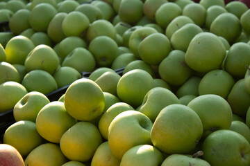 A stall with green apples at a street market in the Georgian city of Tbilisi. Apple for sale. Healthy food for a vegetarian. Buying fresh raw farm products. Fruit shop. Shop with vegetables