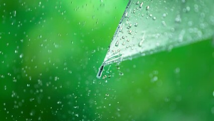 Rain drops on transparent umbrella, super slow motion filmed on high soeed cinematic camera at 1000 fps