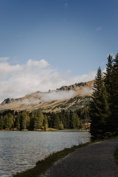 Bergsee in der Schweiz mit B&auml;umen