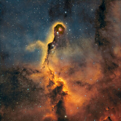 The Elephant Trunk Nebula, IC 1396 in the Constellation of Cepheus.Nebula seen in Hydrogen alpha gas en Oxygen gas with foreground stars en red blue and yellow