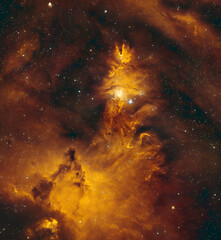 The Christmas Tree Cluster, Cone Nebula and the Fox fur Nebula in the constellation of Monoceros....