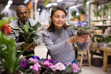 Portrait of woman chooses flowers geranium in flower shop