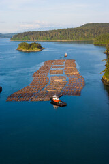 Two tugboats navigate a timber raft through narrow passages between islands in the Pacific...