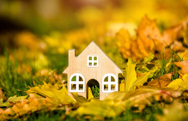 The symbol of the house stands among the fallen autumn leaves
