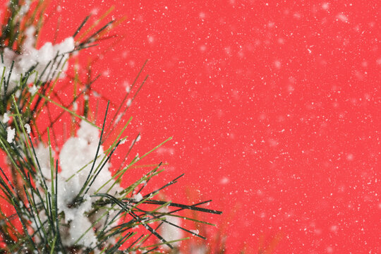 Christmas Background With Snow And Tree Branch And Room For Text On Red Color.