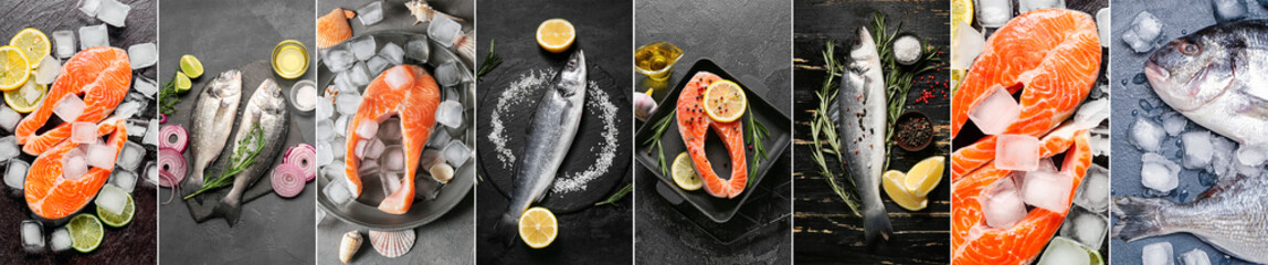 Set of cold fishes on dark background