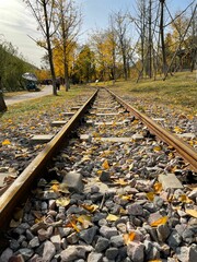 Vertical shot of a rocky railway in a park on an autumn day