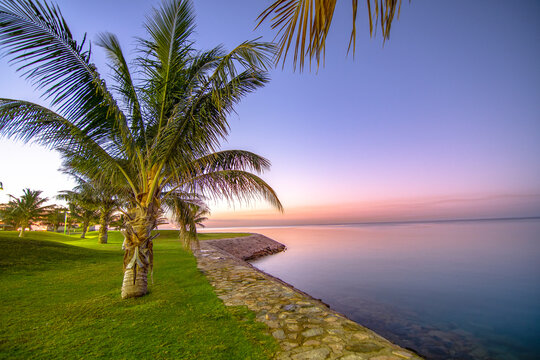 The Royal Commission, Yanbu,  Medina, Saudi Arabia. February 2nd, 2022. The Beach And Adjacent Parks At Night, Dawn And Dusk Times. Trees Especially Palm Are Shown. Black And Colorful Skies. Pathways.