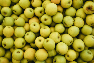 Green apples close up.