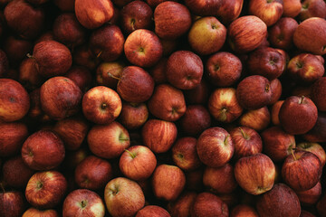Red apples close up.