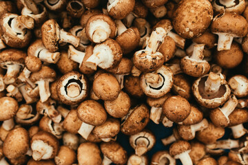 Mushrooms champignons close up.