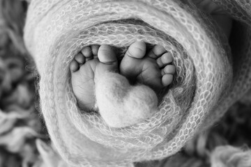 Feet of a newborn close-up in a woolen blanket. Pregnancy, motherhood, preparation and expectation of motherhood, the concept of the birth of a child. Black and white photography. 