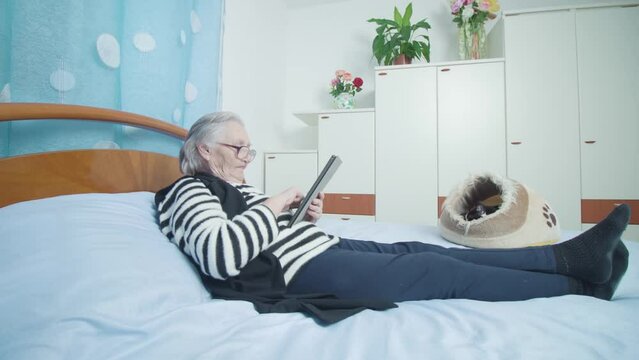 Grey-haired woman in striped pullover and glasses checks social media via tablet PC lying on blanket covering bed near kitten in bed for cats