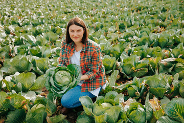 Background of a large rich vegetable field, a young woman farmer is squatting with a smile on her...