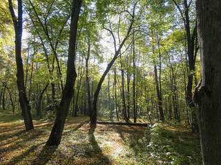 Adam Mickiewicz Park in Lodz, during a walk on a beautiful spring day, Julianów district, Lodz, Poland.