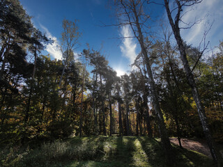 Adam Mickiewicz Park in Lodz, during a walk on a beautiful spring day, Julianów district, Lodz, Poland.