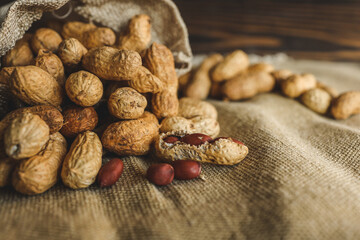 Peanuts in a bag on a woody background