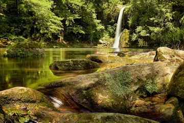 waterfall in the forest