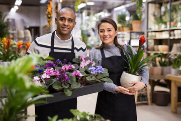 Positive flower shop workers holding pots of flowers