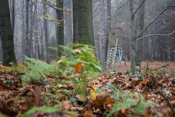 Hunting seat in fog among trees in autumn.