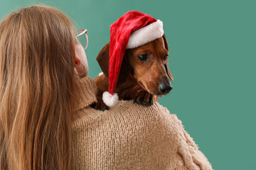 Young woman with dachshund dog in Santa hat on green background, back view