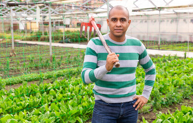 Positive male farmer with rake in greenhouse