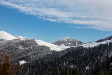Beautiful mountains peak and trees covered in snow under blue cloudy sky, mount Petros and Lysycha meadow of Marmarosy, Carpathian Mountains, Ukraine