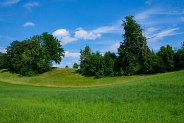 Fototapeta premium Meadow landscape with a blue sky - Meggen, Switzerland