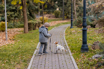Fototapeta premium The boy runs with the dog Jack Russell Terrier in the park. Autumn Walk.