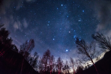 Fototapeta premium 冬の星空と天の川