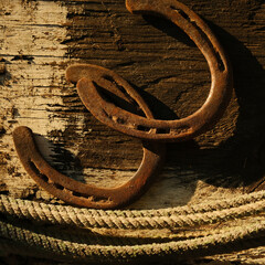 Old used horseshoes and rope on wood background for equine industry in agriculture concept.