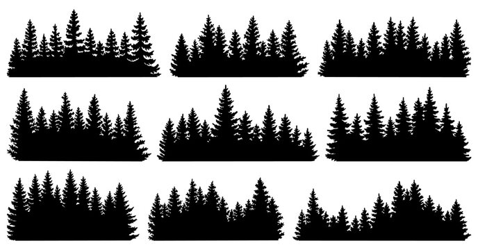 Fir trees silhouettes. Coniferous spruce horizontal background patterns, black evergreen woods illustration. Beautiful hand drawn panorama with treetops forest