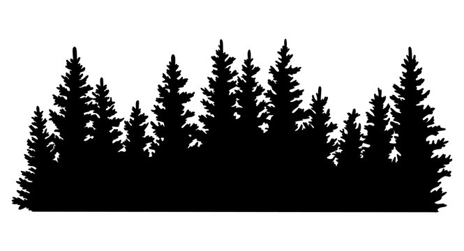 Fir trees silhouette. Coniferous spruce horizontal background pattern, black evergreen woods illustration. Beautiful hand drawn panorama with treetops forest